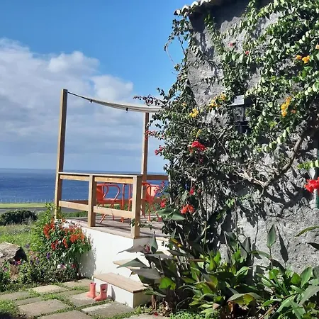 Quinta Buganvilias Bed & Breakfast