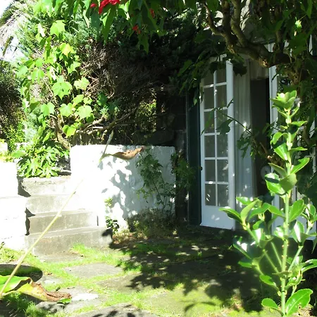 Quinta Buganvilias Bed & Breakfast