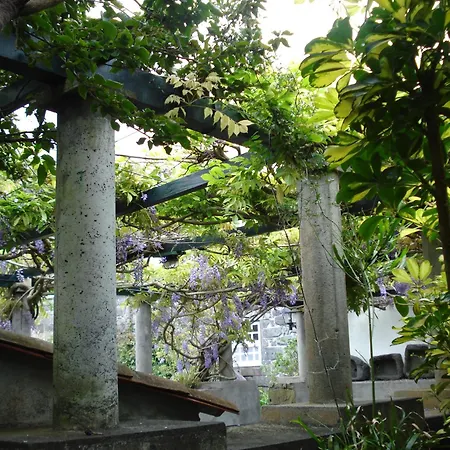 Quinta Buganvilias 3* Castelo Branco (Faial)