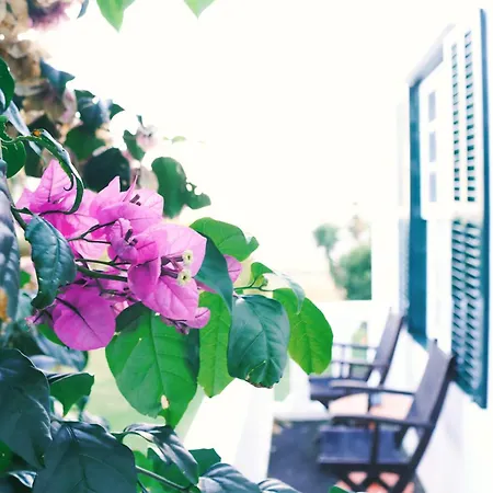 Bed & Breakfast Quinta Buganvilias Castelo Branco (Faial)