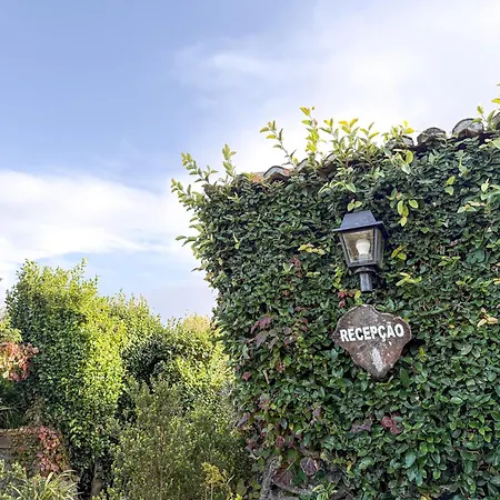 Quinta Buganvilias Bed & Breakfast