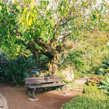 Quinta Buganvilias