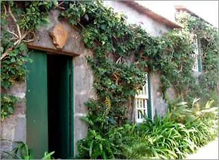 Quinta Buganvilias Bed & Breakfast