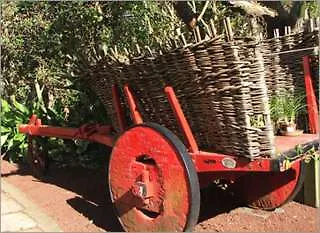 Quinta Buganvilias Oda ve Kahvaltı Castelo Branco (Faial)
