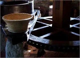Quinta Buganvilias Oda ve Kahvaltı