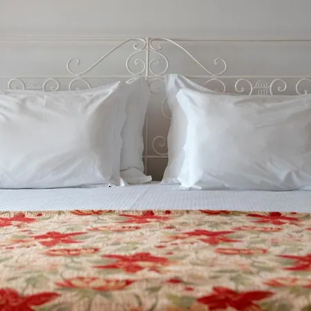 Bed & Breakfast Quinta Buganvilias