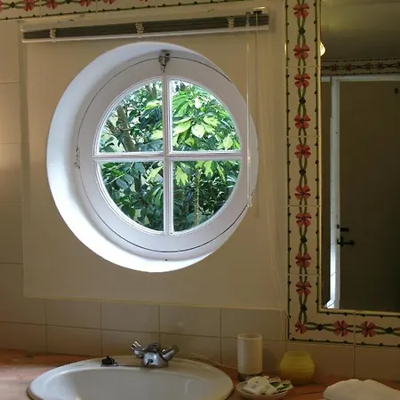 Bed & Breakfast Quinta Buganvilias 3*