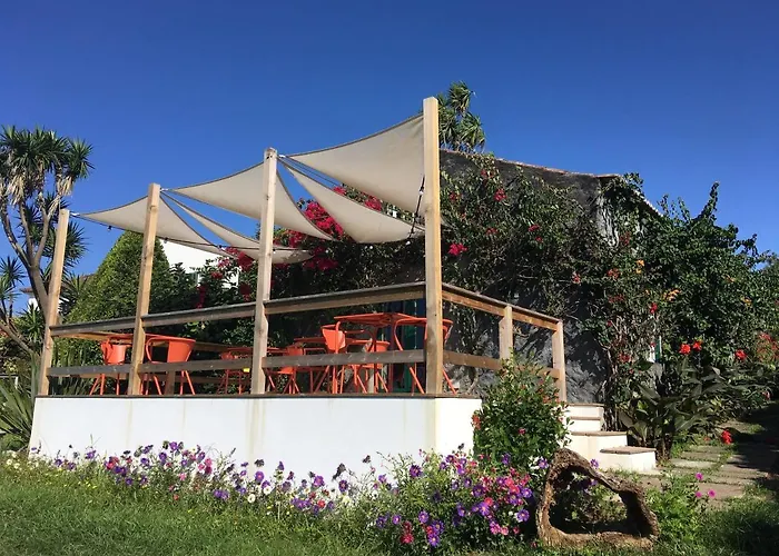 Quinta Buganvilias 3*