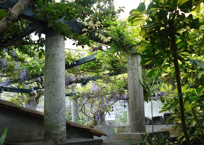 Quinta Buganvilias 3* Castelo Branco