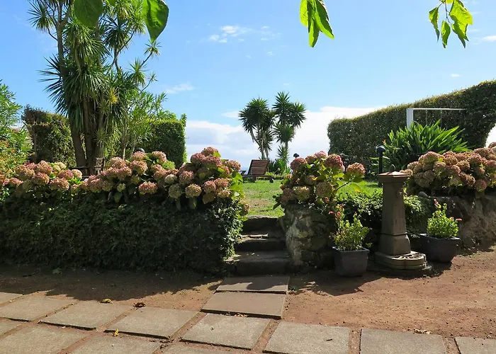 Quinta Buganvilias Castelo Branco