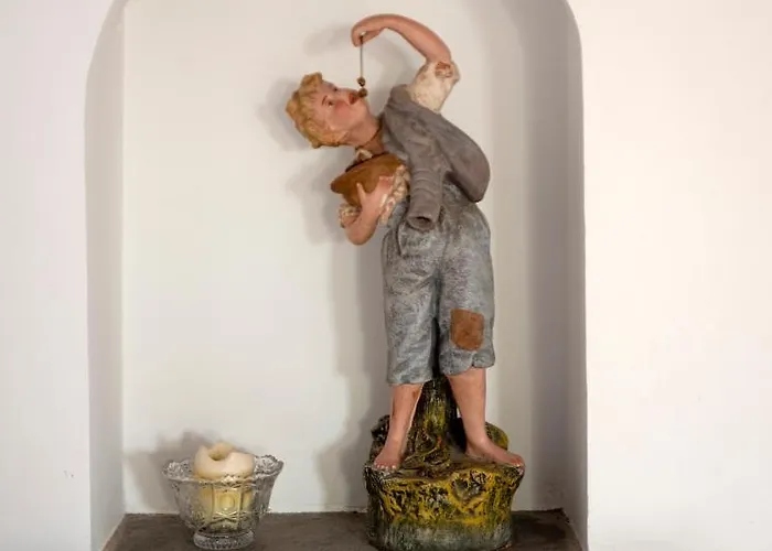 Quinta Buganvilias Castelo Branco